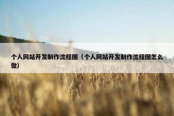 个人网站开发制作流程图（个人网站开发制作流程图怎么做）