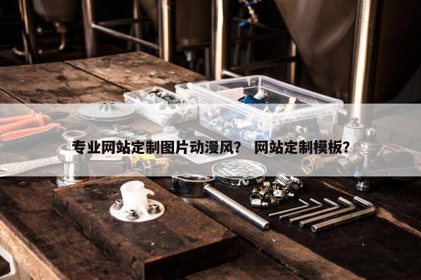 专业网站定制图片动漫风？ 网站定制模板？