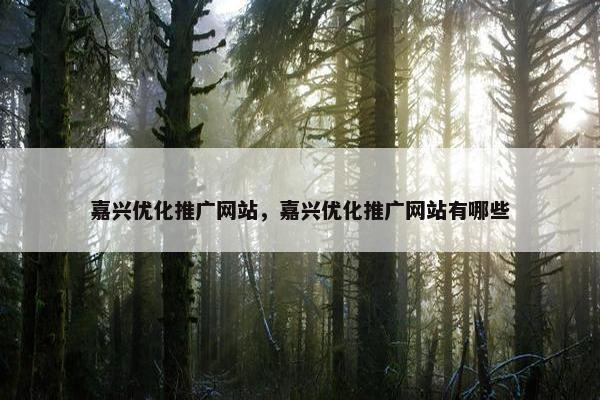 嘉兴优化推广网站，嘉兴优化推广网站有哪些