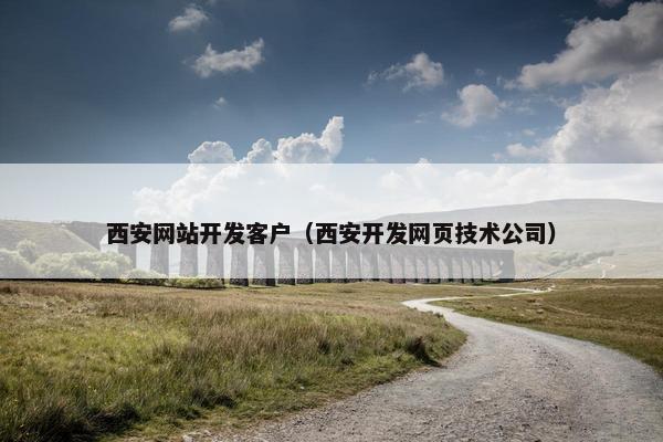 西安网站开发客户（西安开发网页技术公司）