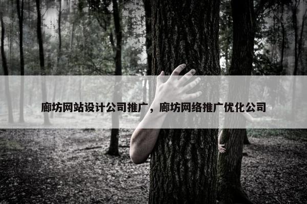 廊坊网站设计公司推广，廊坊网络推广优化公司