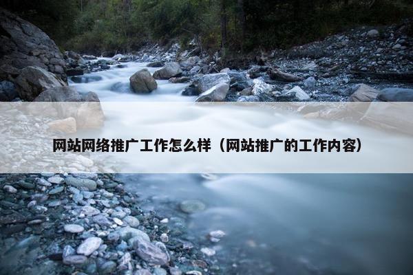 网站网络推广工作怎么样（网站推广的工作内容）