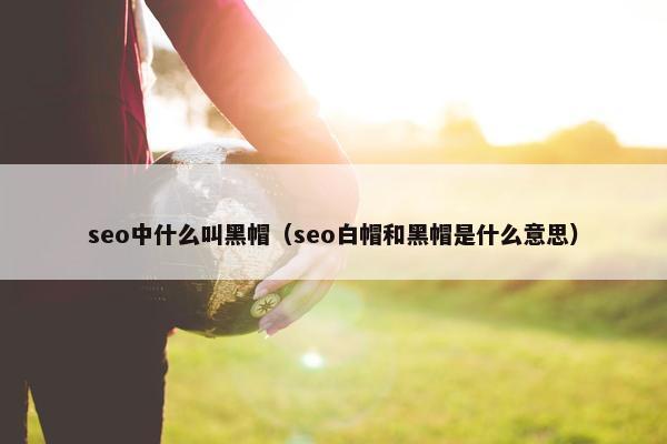seo中什么叫黑帽（seo白帽和黑帽是什么意思）