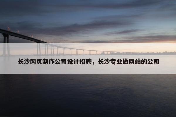 长沙网页制作公司设计招聘，长沙专业做网站的公司