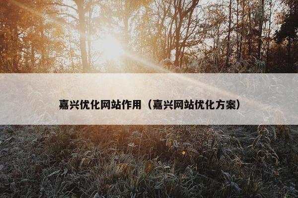 嘉兴优化网站作用（嘉兴网站优化方案）