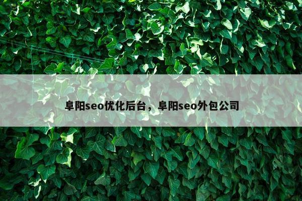 阜阳seo优化后台，阜阳seo外包公司