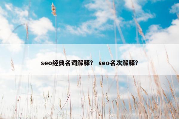 seo经典名词解释？ seo名次解释？