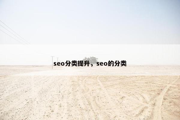 seo分类提升，seo的分类