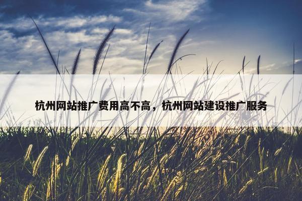 杭州网站推广费用高不高，杭州网站建设推广服务