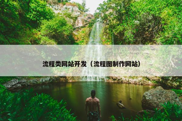 流程类网站开发（流程图制作网站）