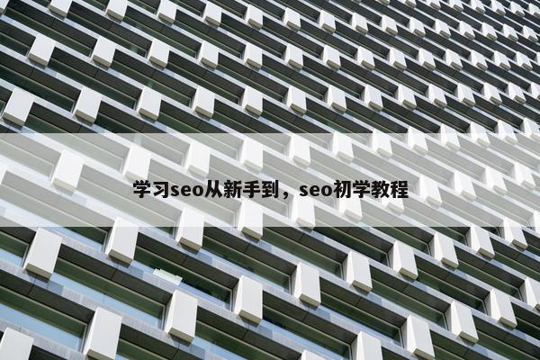 学习seo从新手到，seo初学教程
