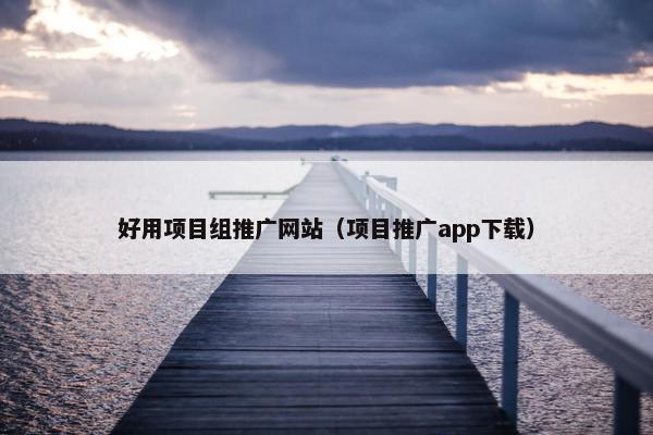 好用项目组推广网站（项目推广app下载）