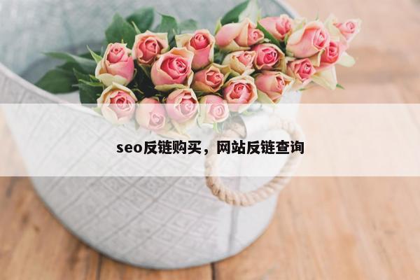 seo反链购买，网站反链查询