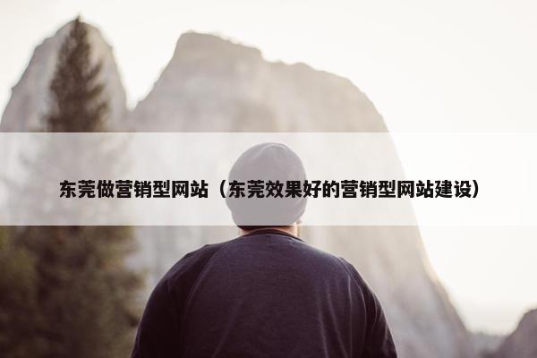 东莞做营销型网站（东莞效果好的营销型网站建设）
