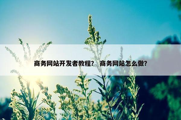 商务网站开发者教程？ 商务网站怎么做？