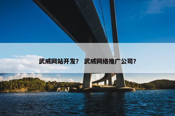 武威网站开发？ 武威网络推广公司？