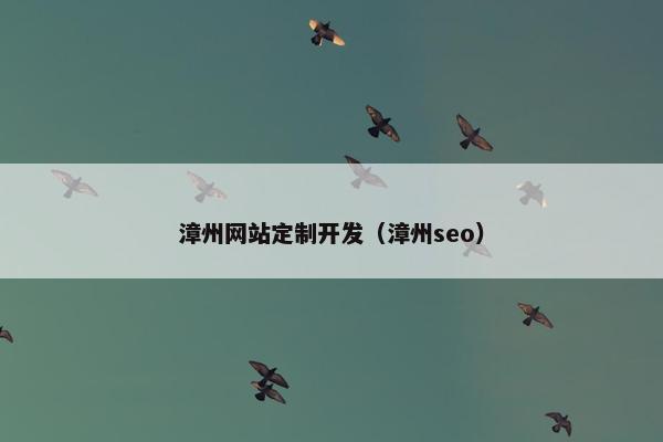 漳州网站定制开发（漳州seo）