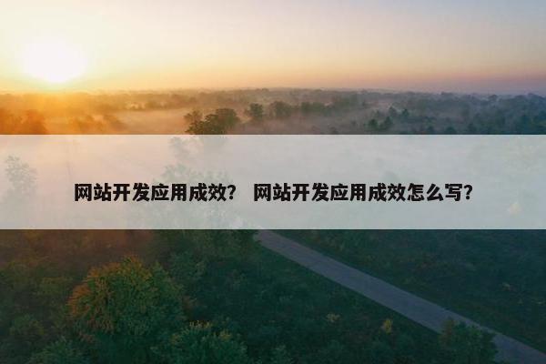 网站开发应用成效？ 网站开发应用成效怎么写？