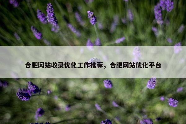 合肥网站收录优化工作推荐，合肥网站优化平台