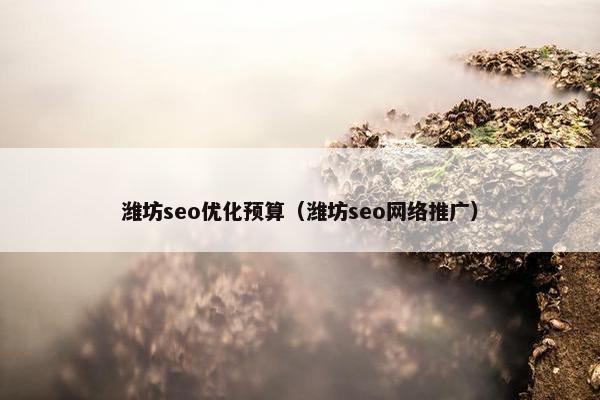 潍坊seo优化预算（潍坊seo网络推广）