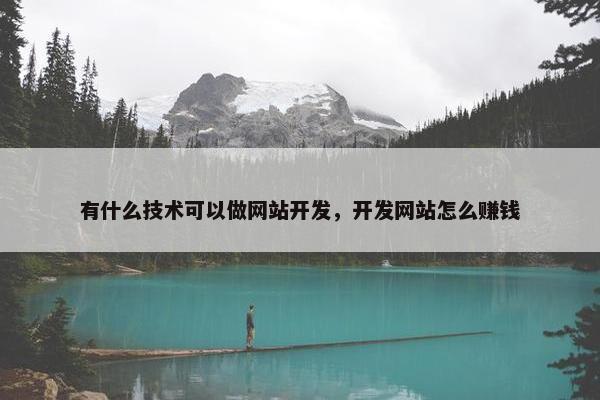 有什么技术可以做网站开发，开发网站怎么赚钱