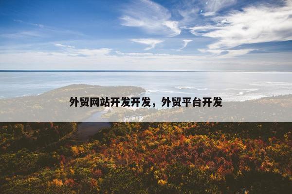 外贸网站开发开发，外贸平台开发