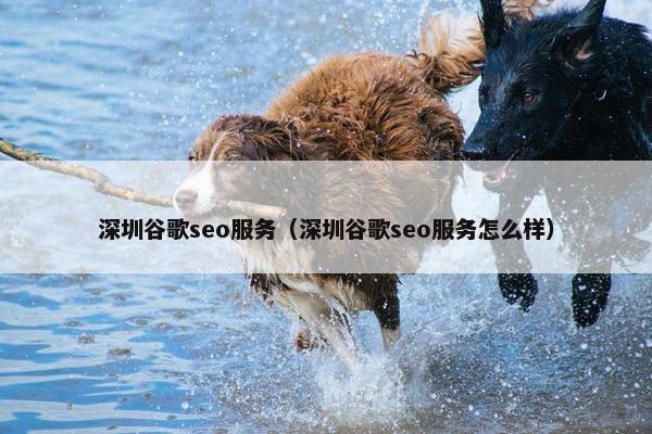 深圳谷歌seo服务（深圳谷歌seo服务怎么样）