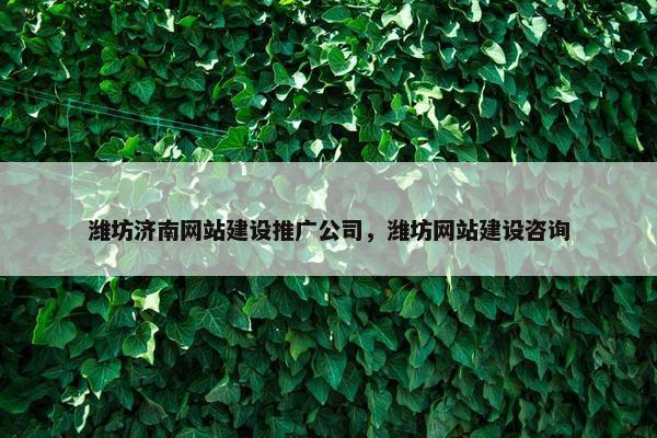 潍坊济南网站建设推广公司，潍坊网站建设咨询