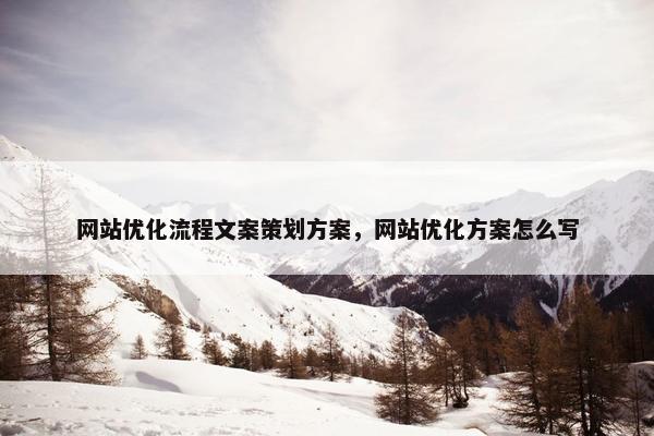 网站优化流程文案策划方案，网站优化方案怎么写
