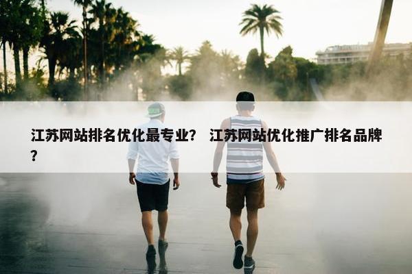 江苏网站排名优化最专业？ 江苏网站优化推广排名品牌？