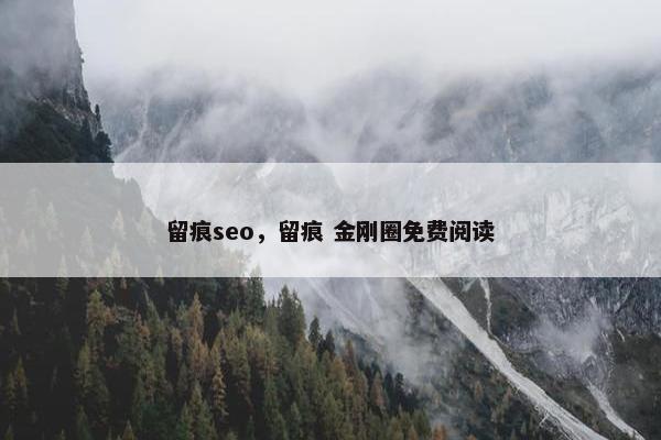 留痕seo，留痕 金刚圈免费阅读