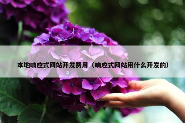 本地响应式网站开发费用（响应式网站用什么开发的）