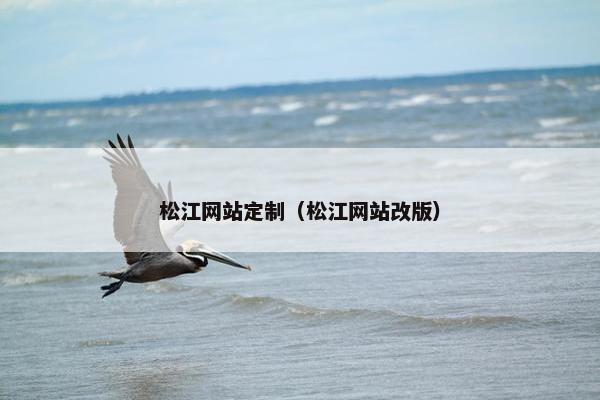 松江网站定制（松江网站改版）