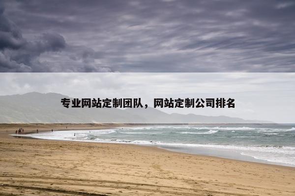 专业网站定制团队，网站定制公司排名