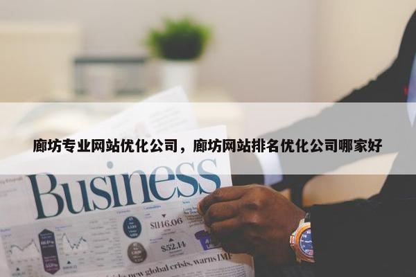 廊坊专业网站优化公司，廊坊网站排名优化公司哪家好