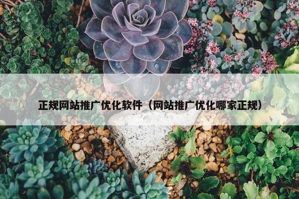 正规网站推广优化软件（网站推广优化哪家正规）