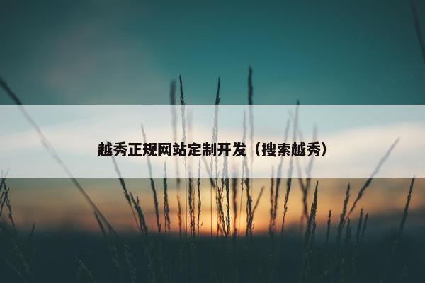 越秀正规网站定制开发（搜索越秀）