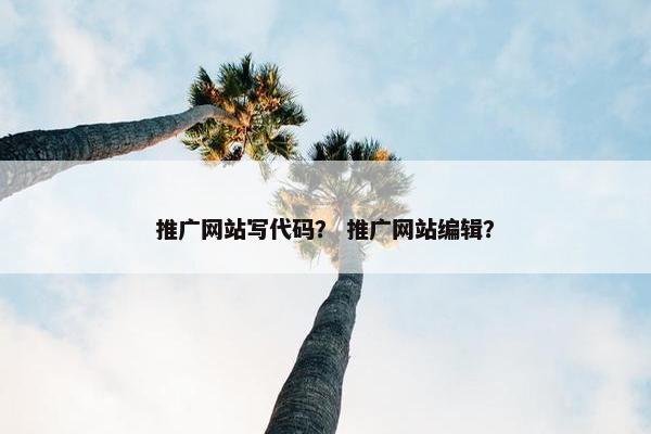 推广网站写代码？ 推广网站编辑？