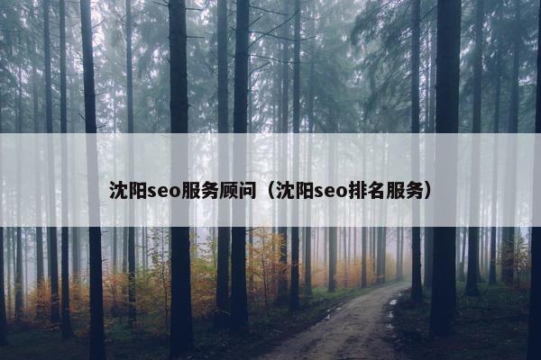 沈阳seo服务顾问（沈阳seo排名服务）