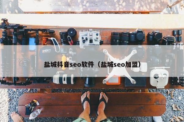 盐城抖音seo软件（盐城seo加盟）