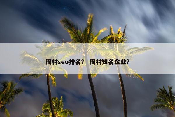 周村seo排名？ 周村知名企业？