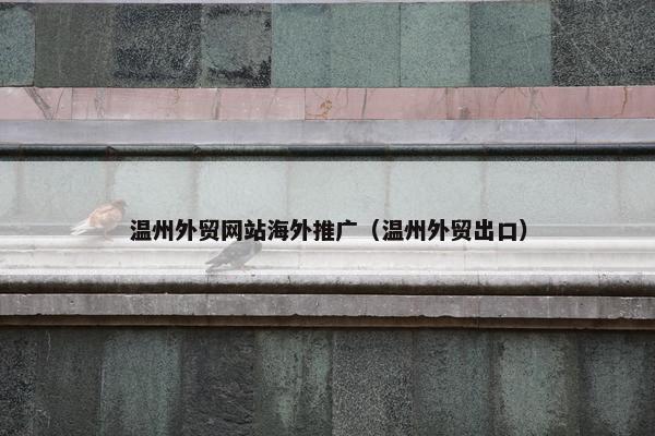 温州外贸网站海外推广（温州外贸出口）