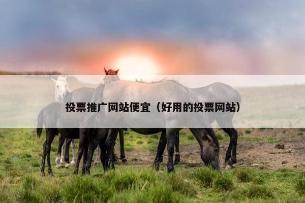 投票推广网站便宜（好用的投票网站）