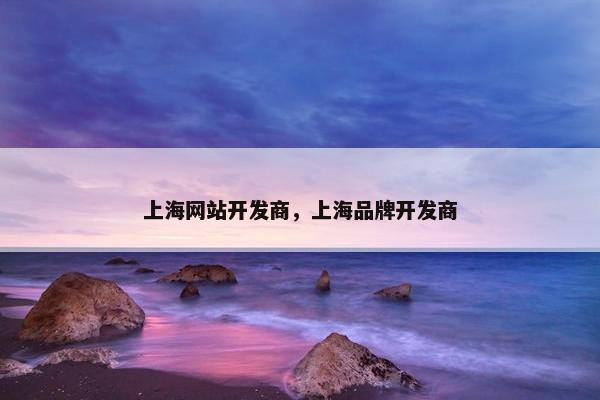 上海网站开发商，上海品牌开发商