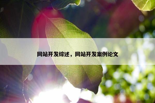 网站开发综述，网站开发案例论文