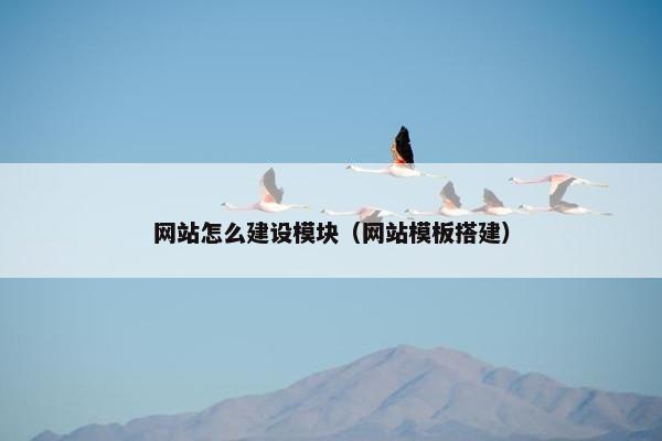 网站怎么建设模块（网站模板搭建）