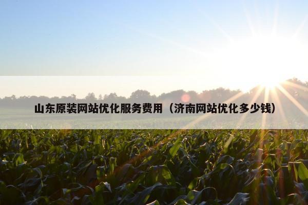 山东原装网站优化服务费用（济南网站优化多少钱）