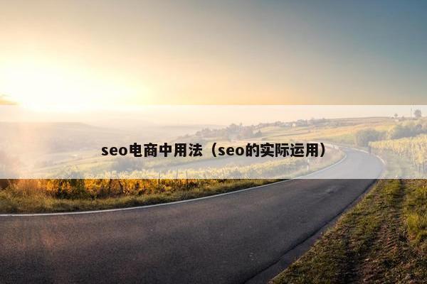 seo电商中用法（seo的实际运用）