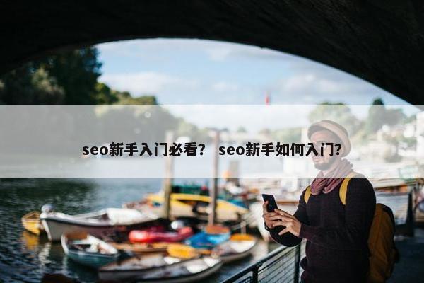 seo新手入门必看？ seo新手如何入门？