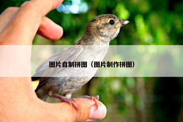 图片自制拼图（图片制作拼图）